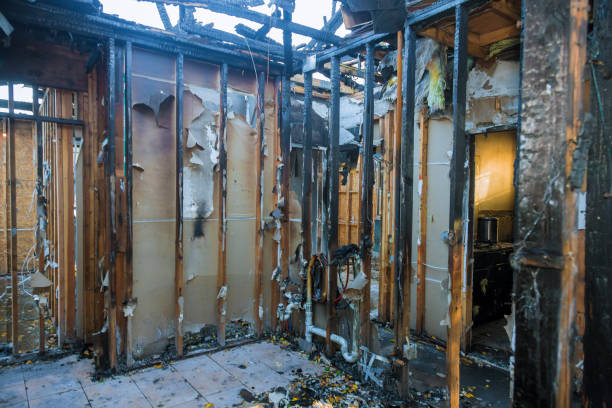 Professional Smoke Damage Removal technician working in Marion, KY